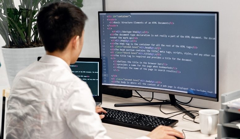 Software Development